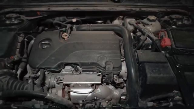 Гений в восстановлении