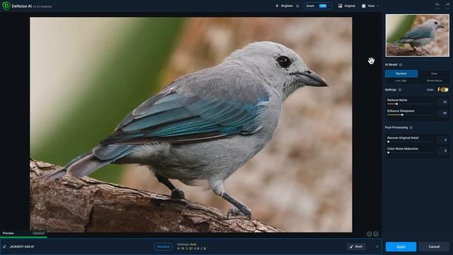 Photo Editing Workflow 01 Using Adobe Lightroom Classic, DeNoise AI, Sharpen AI, And Gigapixel AI