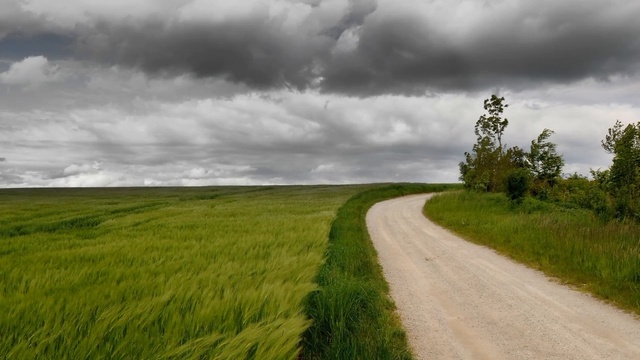 Семь шагов к исцелению. [Аудиокнига «Ключ ко всем дверям», Nikosho]