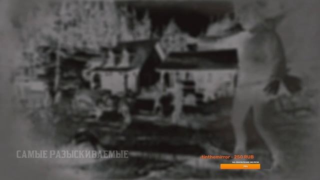 Red Dead Online стрим №50 - всех с Новым годом! смотреть онлайн