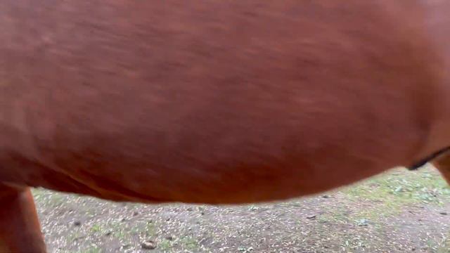 Буян смотреть онлайн