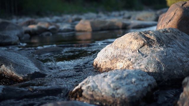 ДВУСТОРОННЯЯ КОММУНИКАЦИЯ С МОЗГОМ смотреть онлайн