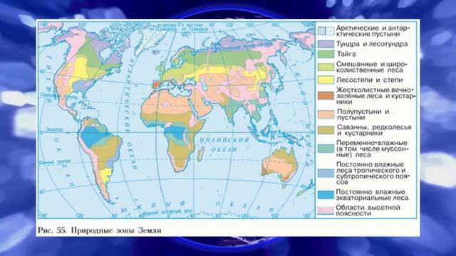 География 7кл. §20 "Природные зоны Земли" смотреть онлайн