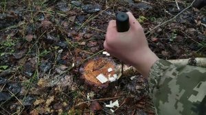 Модернізована ловушка на КАБАНА ?