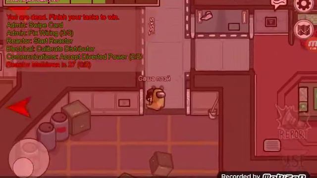 Амонкас смотреть онлайн