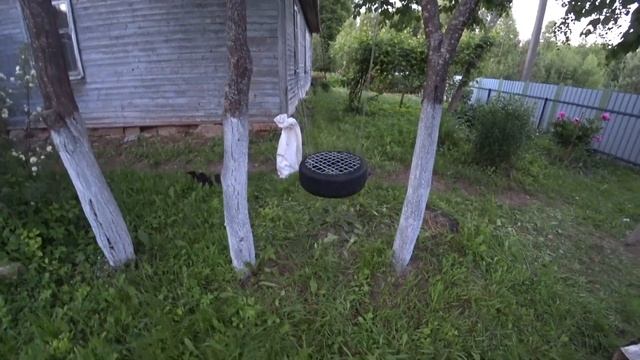 ✅  КАЧЕЛИ ИЗ ПОКРЫШКИ // ОТДЫХ НА ПАСЕКЕ