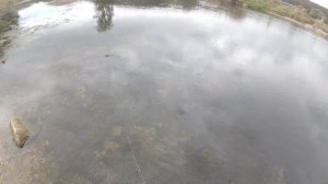 Мой новый джеркбейт STRIKE PRO TINY BUSTER JERKBAIT 6.8