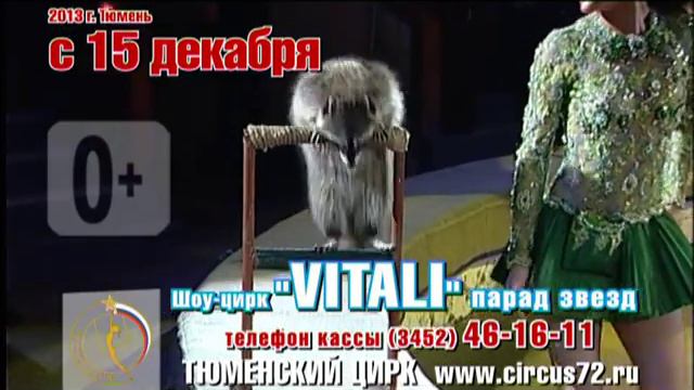 Шоу-цирк "VITALI" смотреть онлайн