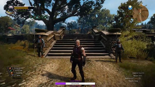 The Witcher 3: Wild Hunt - "Новая игра +" #5 смотреть онлайн