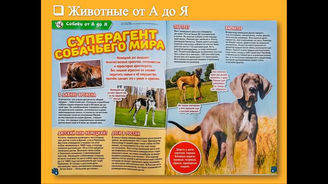 О журнале "Тошка и компания" смотреть онлайн