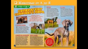 О журнале "Тошка и компания"