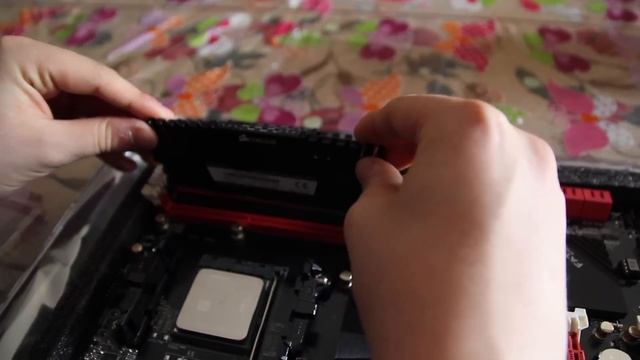 "COME ASSEMBLARE UN PC" AMD FX 8350 Full HD смотреть онлайн