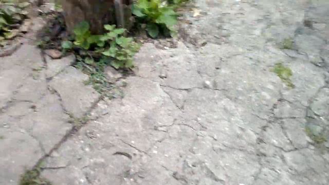 Vlog (Много На Небе Облаков И Не Много Пасмурно С Солнцем) смотреть онлайн