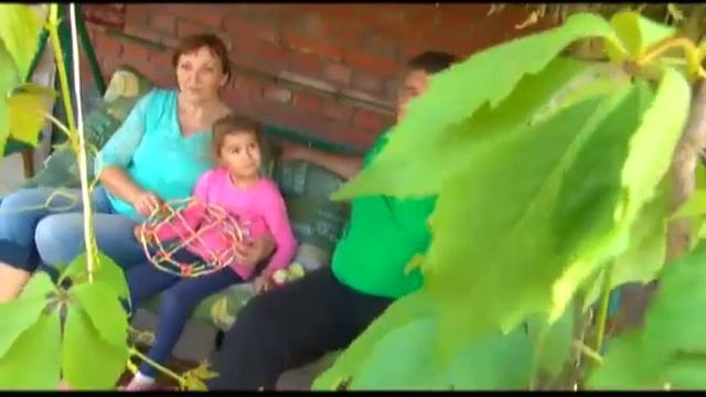 Дачные истории. Пруд из карстовой воронки смотреть онлайн