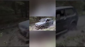 Большие карторные газы. Нива до ремонта двигателя