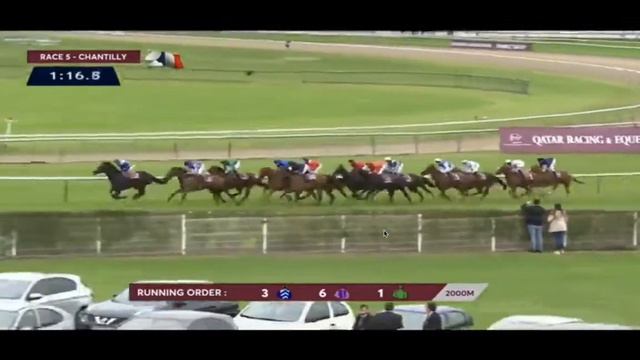 01/10/2017 G1 歌劇錦標 2000m - Rhododendron - Ramos смотреть онлайн