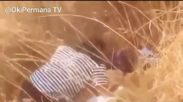Ketahuan lagi gituan Di Kebun Langsung Direkam Oleh Warga смотреть онлайн