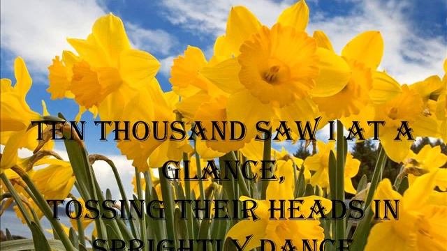 Daffodils by William Wordsworth смотреть онлайн