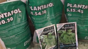 Плантафол — эффективное итальянское удобрение. Когда, какой и как применять?