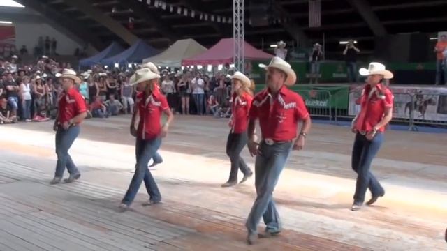 Fast As A Shark line dance - WILD COUNTRY - Voghera Country Festival 2012 смотреть онлайн