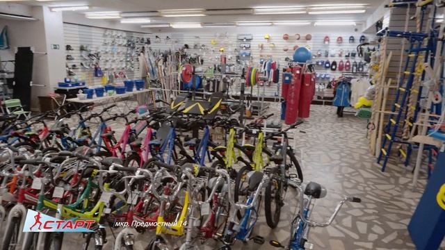 Боксерки, борцовки и самбовки смотреть онлайн