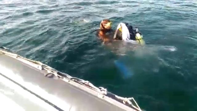 Чёрное море . Дайвинг. Погружаемся под воду вешать замок. Правильный заход в воду с катера смотреть онлайн