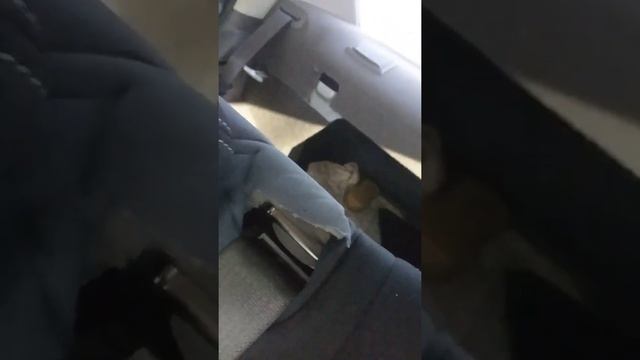 Шевроле Кобальт.Задний ремень безопасности. смотреть онлайн