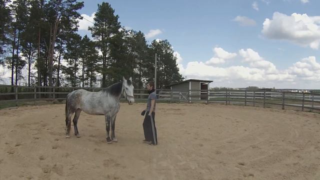 Осторожно, злая лошадь! смотреть онлайн