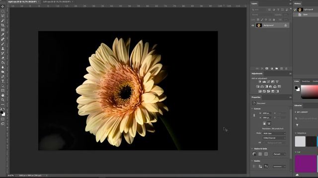 Anaglyph 3D Photography - How to create real stereoscopic 3D Macro Photos! смотреть онлайн