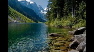 ДЖОН КАЛЕНЧ ЛУЧШИЙ, КАКИМ ВЫ МОЖЕТЕ БЫТЬ В МЛМ глава 2