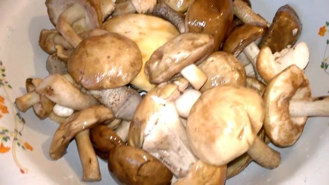 куры оказались петухами грибы и брусника смотреть онлайн