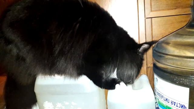 Добывать воду интереснее... смотреть онлайн