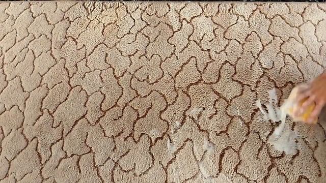 VANISH CARPET CARE ? How To Refresh/Clean Your Carpet | Use Vanish | Vanish Review | Spring Cleanin