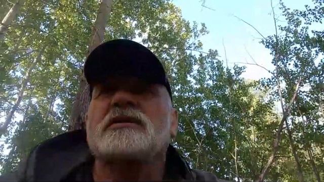 Диалог о ценах на щенков лайки смотреть онлайн