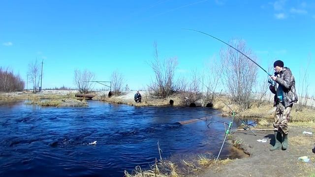 ЯМАЛ весенняя рыбалка на протоке ,язь,сорога,окунь смотреть онлайн