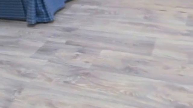 Русская цветная болонка п-к "Вирсаль", щенки 2 месяца смотреть онлайн