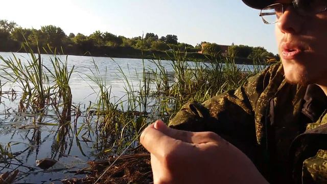 Рыбалка на крупного карася, который ломает удочки. смотреть онлайн