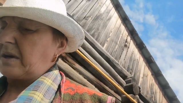 #посадкасидератов#Посадка сидератов | обзор яблок | помидор | перца. смотреть онлайн