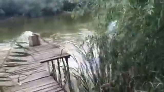 Простейшая аэрация водоёма при море рыбы!!! смотреть онлайн