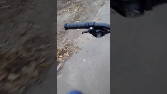 Покатушка на великах смотреть онлайн