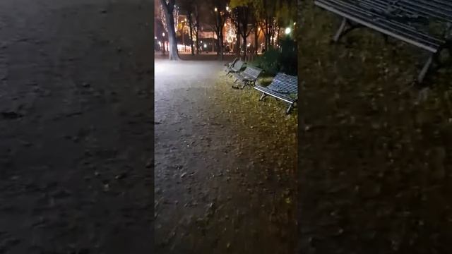 Крысы в Париже!!! Елисейские поля, площадь согласия. Еще видео про Париж на моем канале. смотреть онлайн