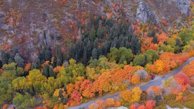 «Осенний лес» 4K ? Нежная расслабляющая фортепианная музыка - Осенний пейзаж смотреть онлайн