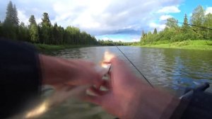 Хариус повсюду. По рекам северного Урала. Часть вторая - сплав.