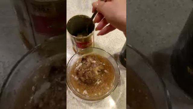 SOLID NATURA. Тушенка для людей или консервы для собак? смотреть онлайн