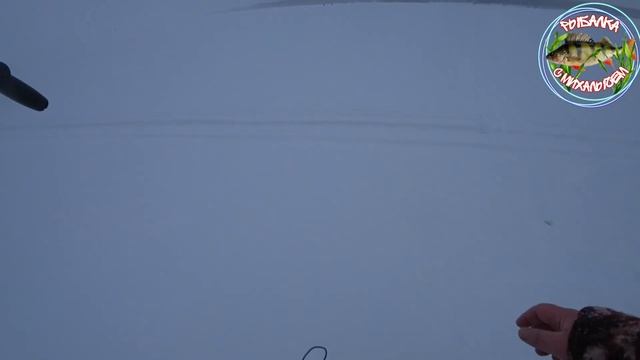 Рыбалка с Михалычем закрытие сезона 2020 смотреть онлайн