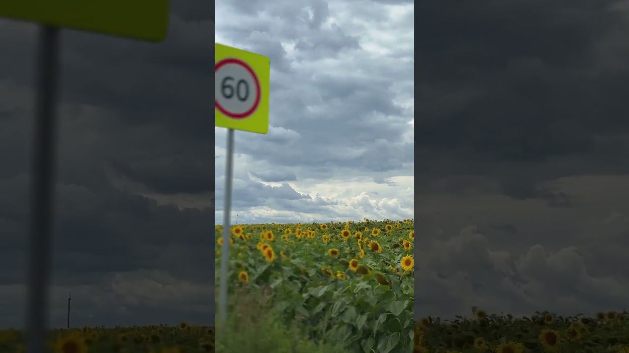 Поехали в деревню Салихово #bashkortostan #природа #башкирия #лето #деревня смотреть онлайн