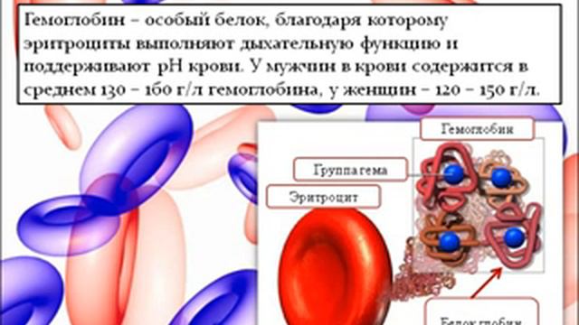 Внутренняя среда организма. Значение крови,ее состав.AVI смотреть онлайн