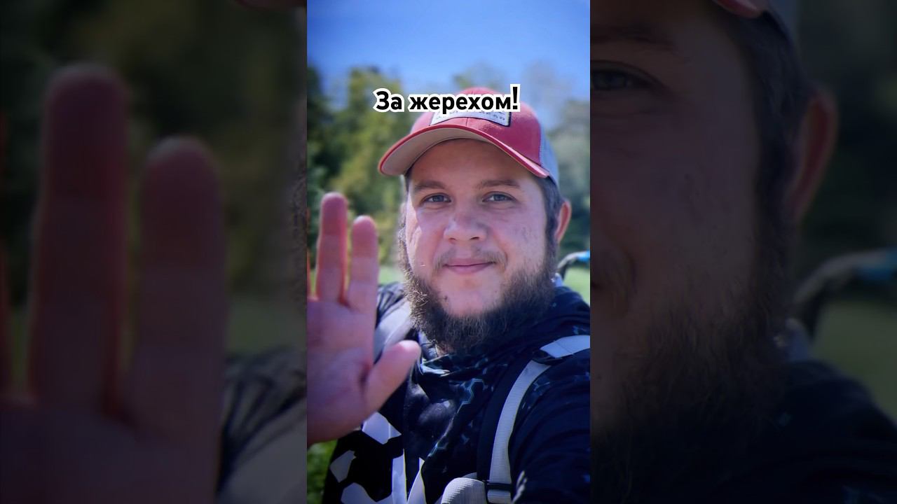 Жерех оторвал блесну #рыбалка #трофей #спиннинг #жерех #крупнаярыба #трофейнаярыбалка смотреть онлайн