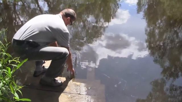 Яуза - река детства. 2013 смотреть онлайн