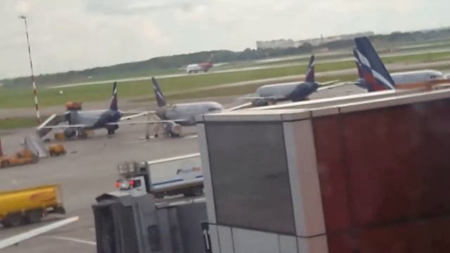 Аэропорт Шереметьево смотреть онлайн